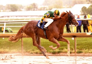 Jim McCue/Maryland Jockey Club