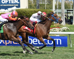 Coglianese Photo/Leslie Martin