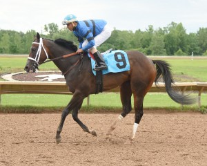 Swing and Sway returning to the winner's circle for her close-up. SV Photography