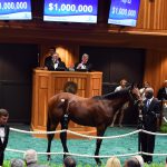 Hip 62, 2018 Fasig-Tipton Saratoga Selected Yearling Sale