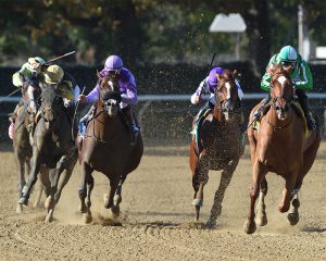 Mr. Buff takes the 2019 Empire Classic at Belmont Park on Empire Showcase Day.