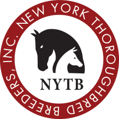 NYTB logo
