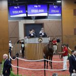 Hip 72, 2012 Fasig-Tipton Midlantic 2 Year Olds in Training Sale,