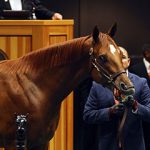 Hip 45, 2021 Fasig-Tipton Saratoga Selected Yearling Sale