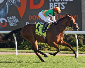 Derrynane captures the Woodbine Cares Stakes beneath Joel Rosario.