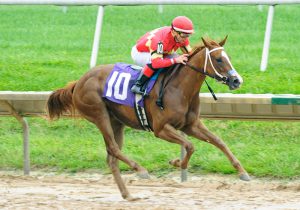 Our Tiny Dancer breaks her maiden at Delaware Park on 9/9/21. Hoofprints, Inc. photo.