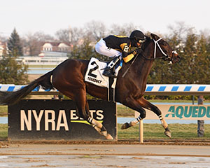 Maiden Beauty scores quick turnaround win in Bay Ridge - New York