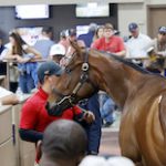 Hip 406, 2023 Fasig-Tipton Midlantic 2 Y-O-in Training Sale