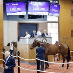 Hip 406, 2023 Fasig-Tipton Midlantic 2 Y-O-in Training Sale