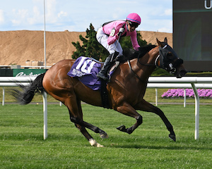 War Dancer’s Mz Big Bucks upsets NYSS Cupecoy’s Joy - New York ...