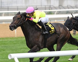 Spirit of St Louis picks up his first career stakes victory in the Ashley T. Cole. Chelsea Durand/Coglianese Photos.