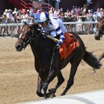 kay cup the bouwerie credit chelsea durand